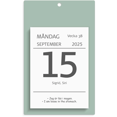 Kalender 2025 Väggplån med dagblock Humor