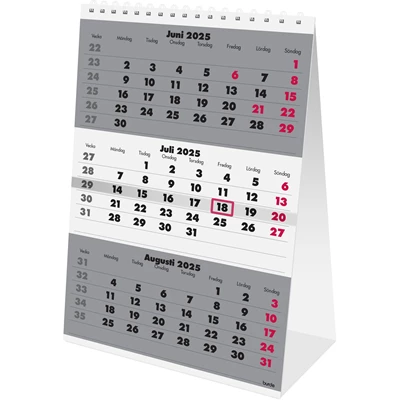 Kalender 2025 Bordskalender Triplaner